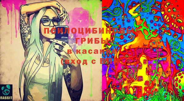 гашик Киренск