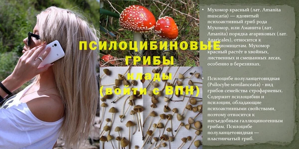 сатива Кинешма
