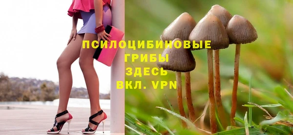 гашик Киренск