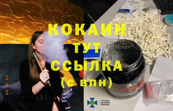 сатива Кинешма