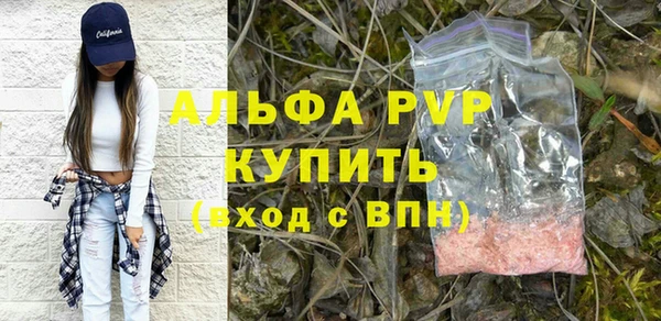 сатива Кинешма