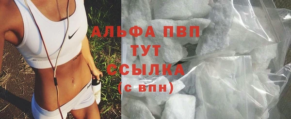 сатива Кинешма