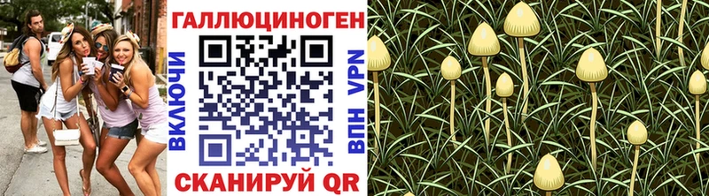 Псилоцибиновые грибы мицелий  сайты даркнета как зайти  Сорск  купить  